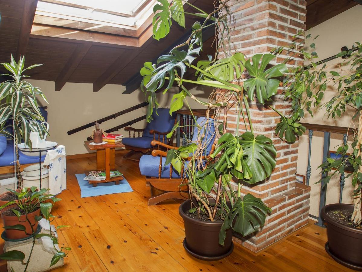 Casa De La Montana Albergue Turistico Avín Exteriér fotografie
